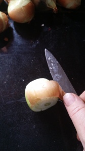 skinning onion